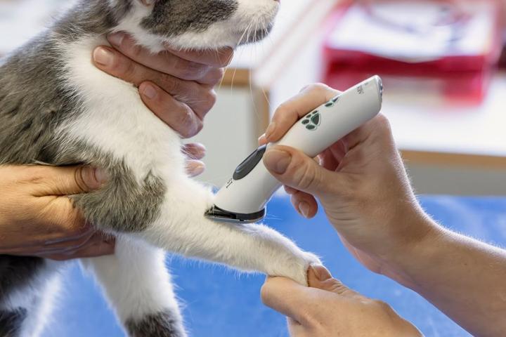 Produktbild Aesculap Isis (Hund)