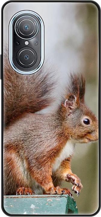 Squirrels