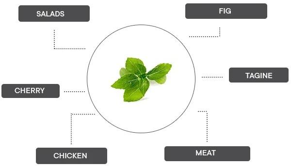 Produktbild Véritable Bio-Thai-Basilikum (Kräutersamen)