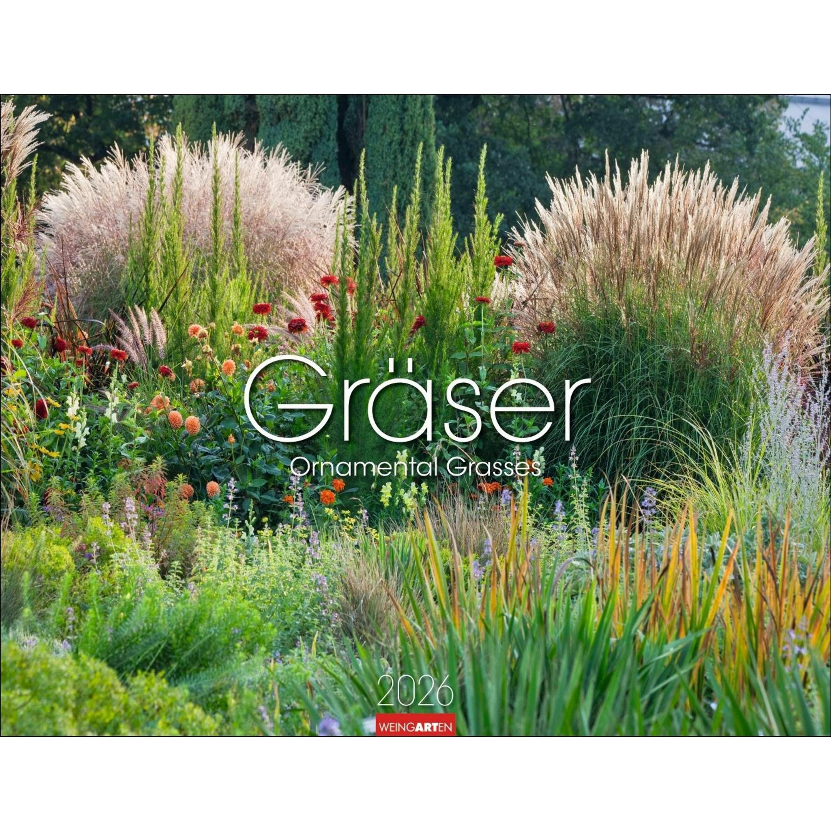 Weingarten Gräser Kalender 2026 (44 x 34 cm) (3312250)