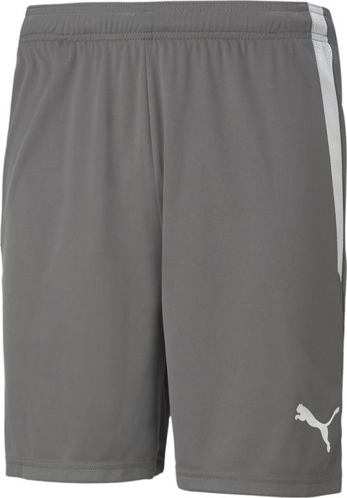 Actual product image Puma teamLIGA Shorts-704924 (XL)