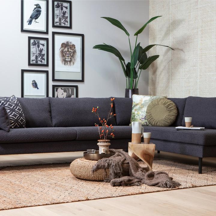 Immagine prodotto Woood Strelitzia (63 cm)