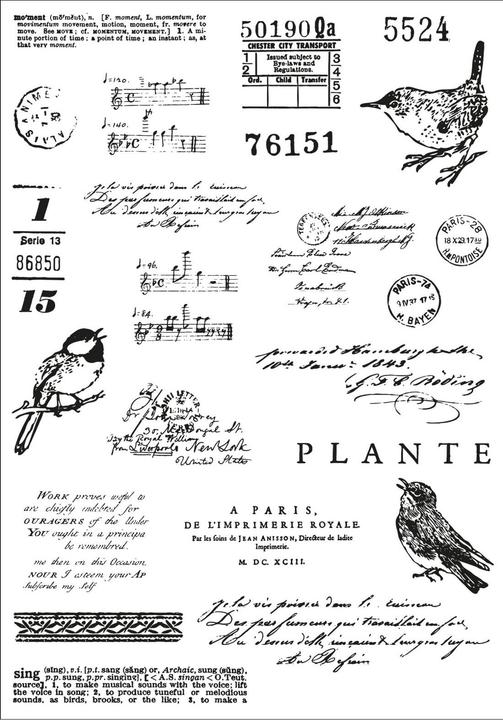 Immagine prodotto Sizzix Set di Timbri trasparenti A5 23 Pezzi e 5 fustelle Framelits - Canto degli uccelli di 49 and Market