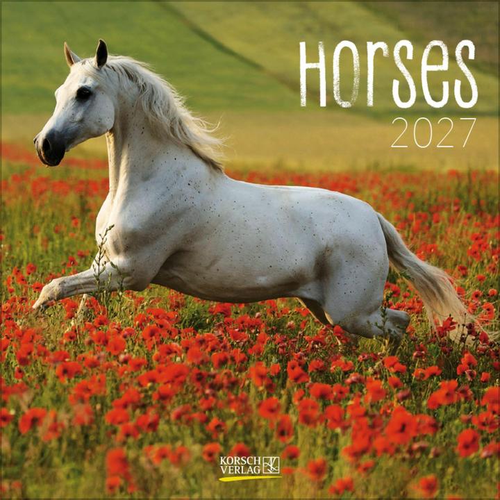 Produktbild Horses 2027