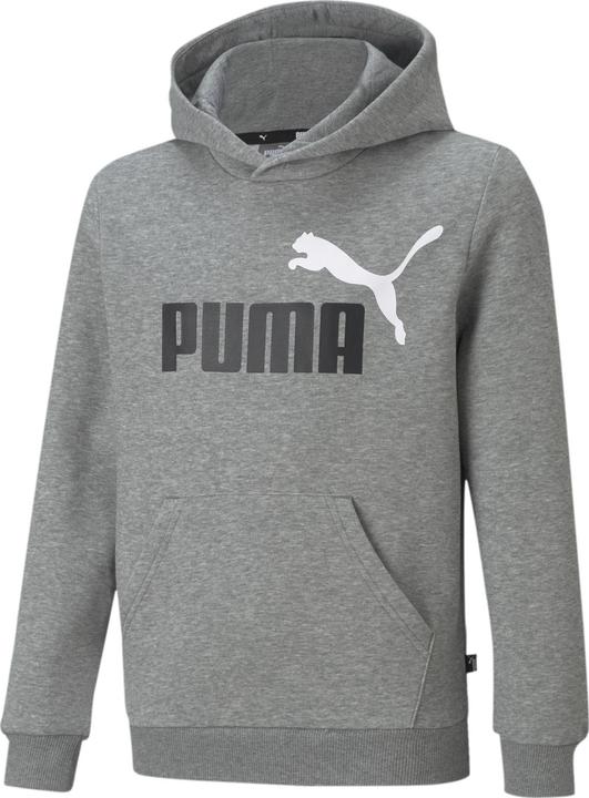Actual product image Puma ESS+ 2 Col Big Logo Hoodie FL B (140)