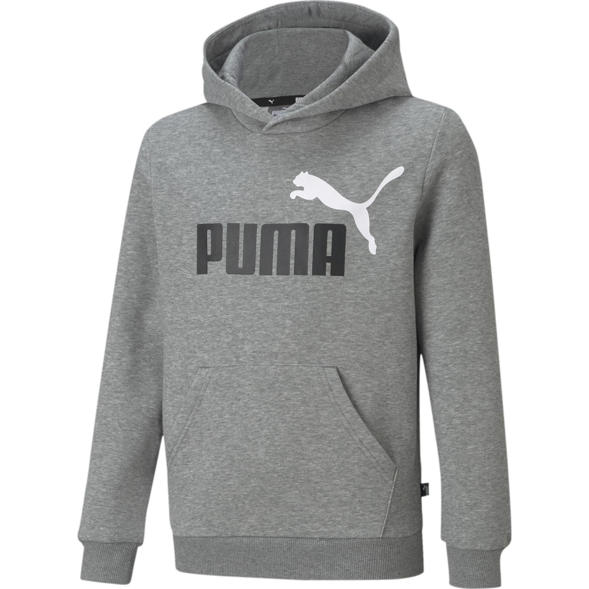 Puma, Herren, Pullover, ESS+ 2 Col Big Logo Hoodie FL B, Grau, (140)