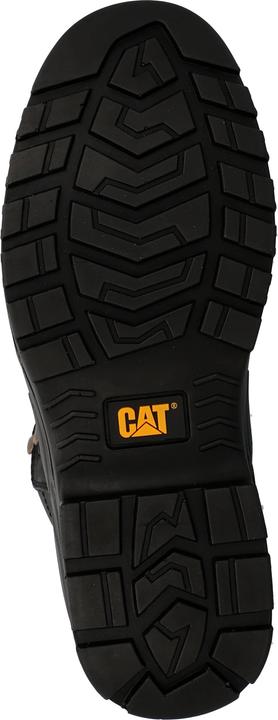 Actual product image Cat Striver (S3, 45)