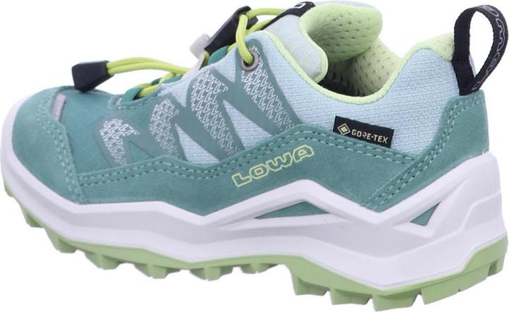 Produktbild Lowa Maddox Pro GTX LO (40)