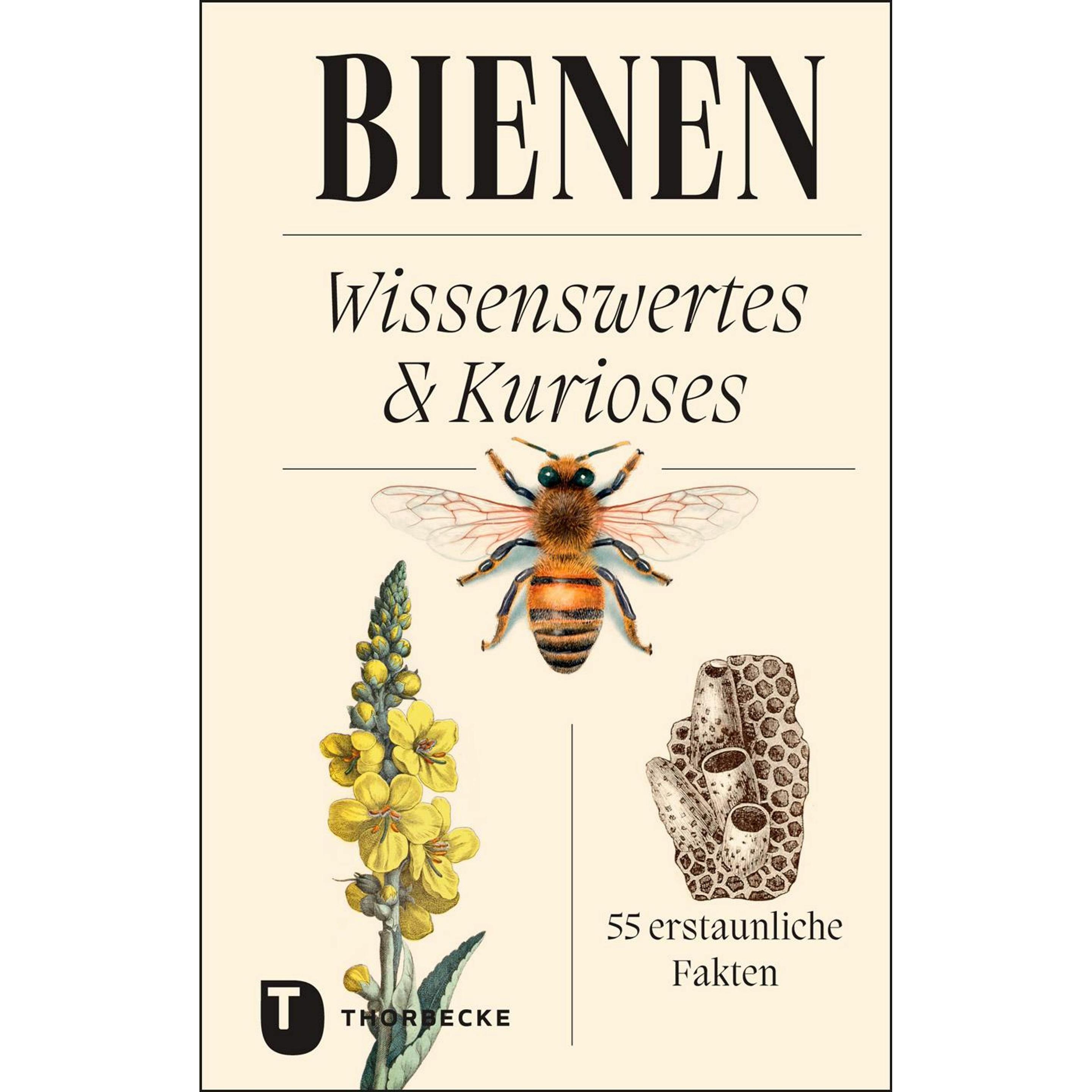 Thumbnail - Bienen, Ratgeber