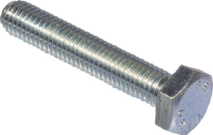 Actual product image Fischer Hexagon head screw SKS 12x30 A4 (M12)