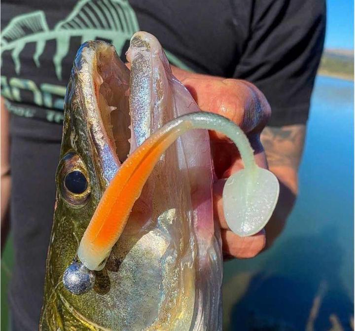 Immagine prodotto Stucki Thun Preda uno (13 cm)