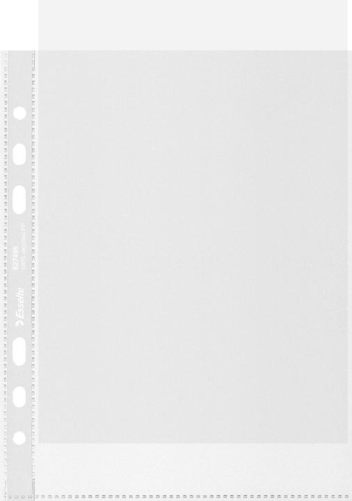 Image du produit Leitz Pochette à prospectus (A5, 100x)