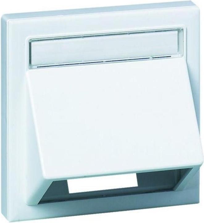 Actual product image Schneider Angled data cap for