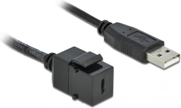Image du produit Delock Module Keystone (0.25 m, USB 2.0)