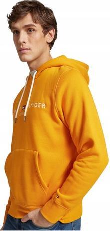 Actual product image Tommy Hilfiger Tommy Logo Hoody (L)