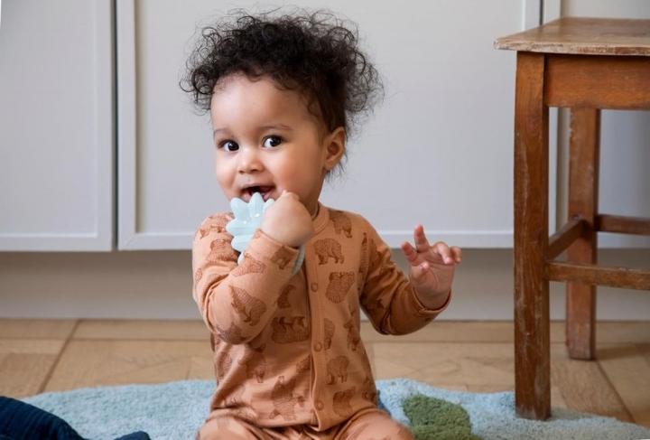 Actual product image Sebra Teething ring natural rubber latex, leaf, misty rose