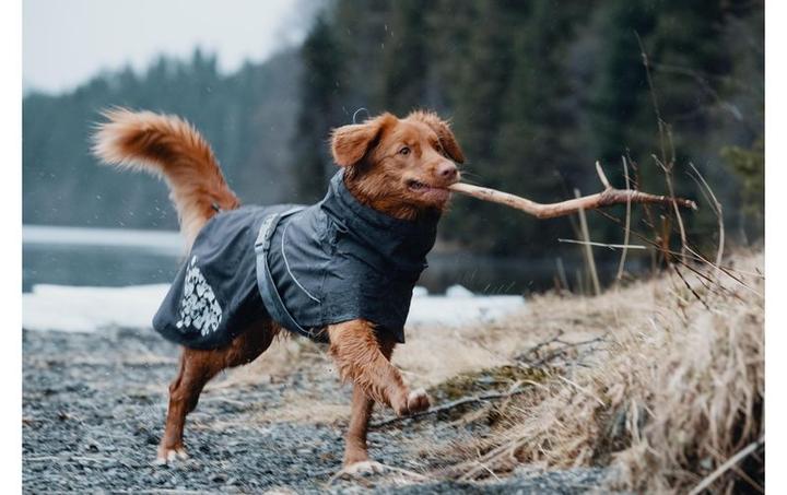 Actual product image Hurtta Raincoat Monsoon Coat (20, XXS, XS, Dog raincoat)
