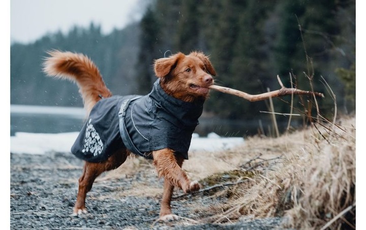 Immagine prodotto Hurtta Cappotto Monsoon Impermeabile (20, XXS, XS, Cappotto impermeabile per cani)