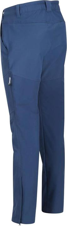 Actual product image Regatta Mens Questra IV Hiking Trousers (40)