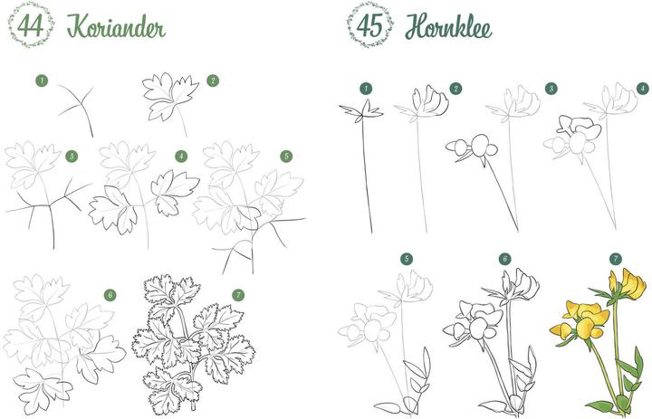 Immagine prodotto Disegna 300 motivi - Botanica