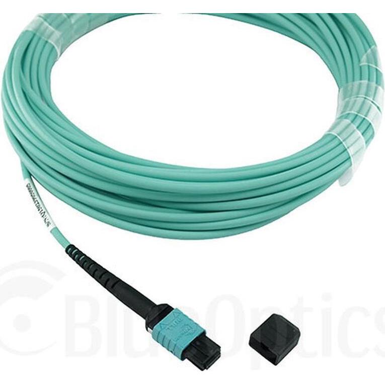 BlueOptics Allied Telesis AT-MTP12-30 kompatibles MTP-MTP Multimode OM3 Patchkabel 30 Meter (CAT7a, 30 m), Netzwerkkabel