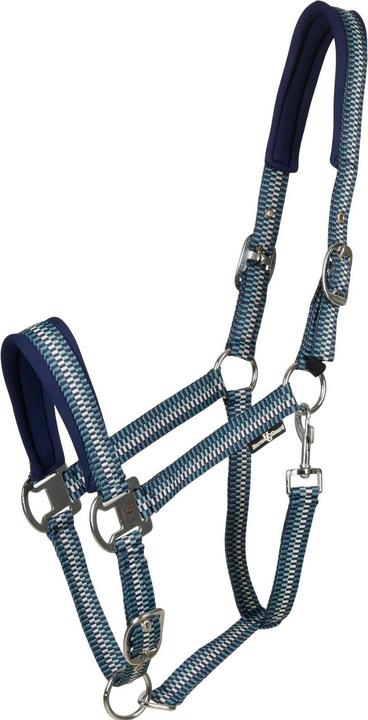Image du produit Horse Guard Cole