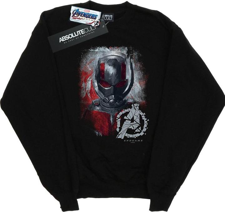 Image du produit - Sweat AVENGERS ENDGAME ANT-MAN BRUSHED - Garçon (128)