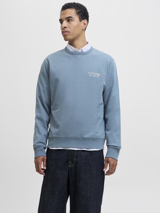 Produktbild Jack & Jones Jjedetroit Sweat Crew Neck Styd Aw25 (L)