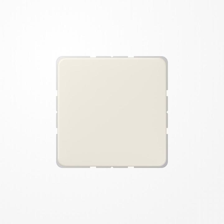 Actual product image JUNG Blind cover with support ring