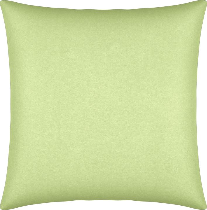 Verde lime
