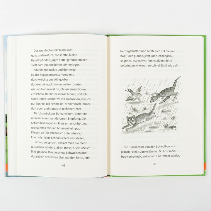 Produktbild Der kleinste Dinosaurier (Deutsch, Julia Donaldson, Axel Scheffler, Susanne Härtel, 2022)