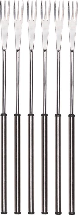 Actual product image Nouvel Cheese fondue forks