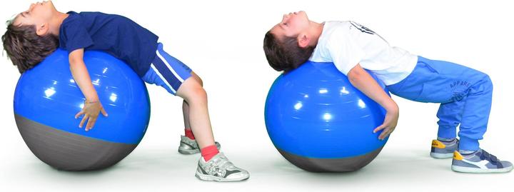 Productafbeelding Trial Bal Boa Bal (50 cm)