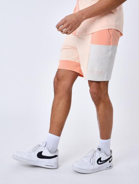 Actual product image Project X Paris short (XL)