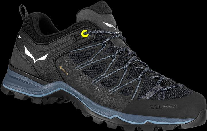 Produktbild Salewa MTN Trainer Lite GTX Schuhe (44.5)