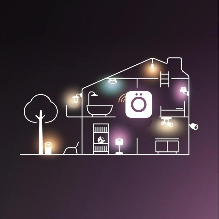 Actual product image Philips Hue Bridge Pro