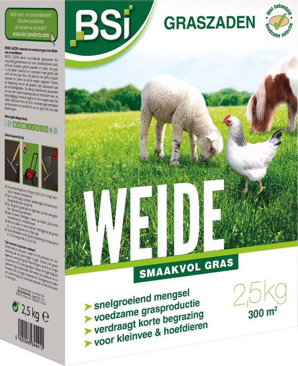 Bsi Graszaad Weide - 2,5 Kg (Lawn reseed)