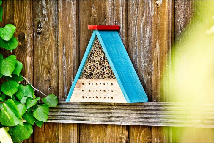 Immagine prodotto Windhager Kit di api (Api)