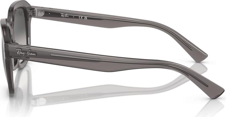 Immagine prodotto Ray Ban Erik