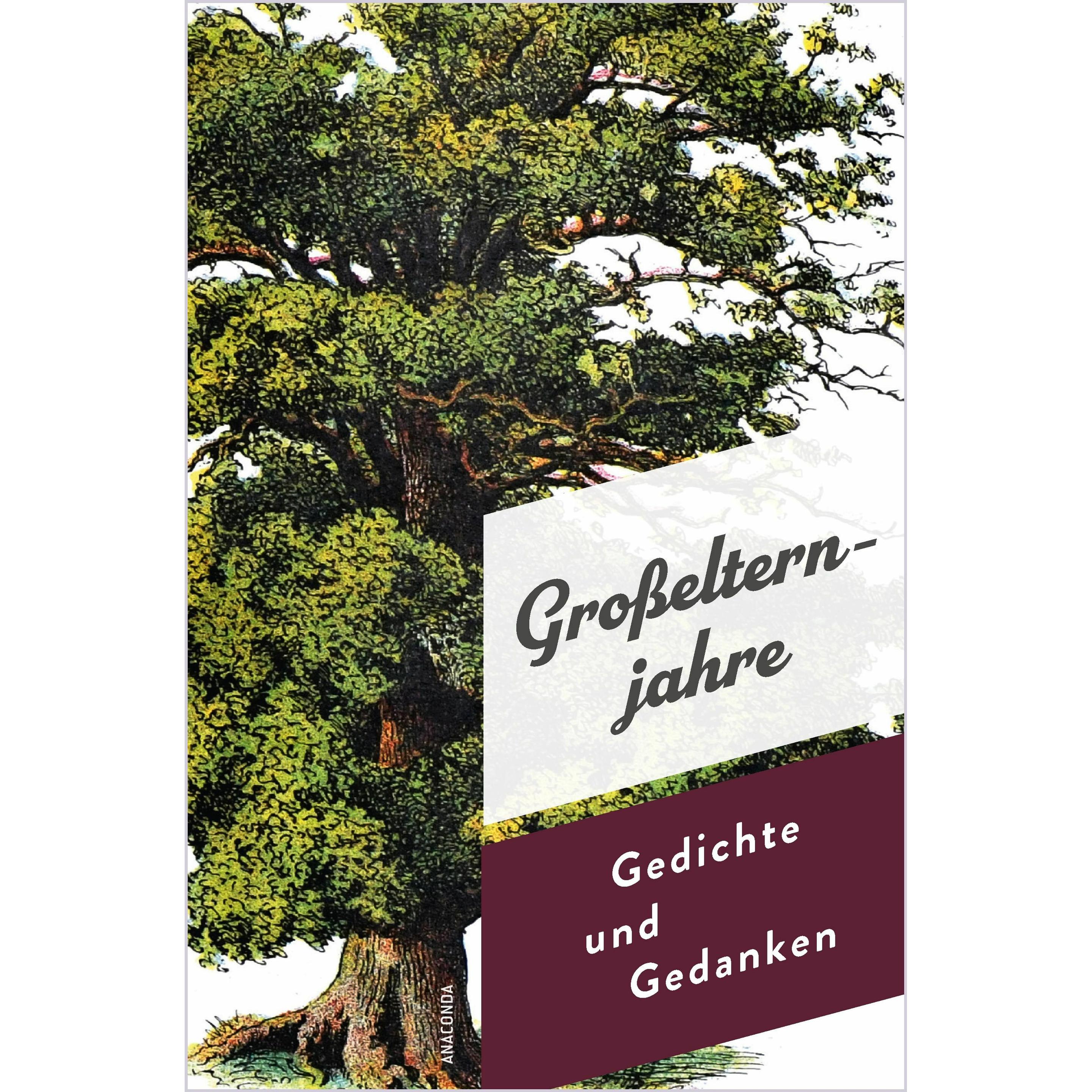 Grosselternjahre. Gedichte und Gedanken, Belletristik von Jan Strümpel