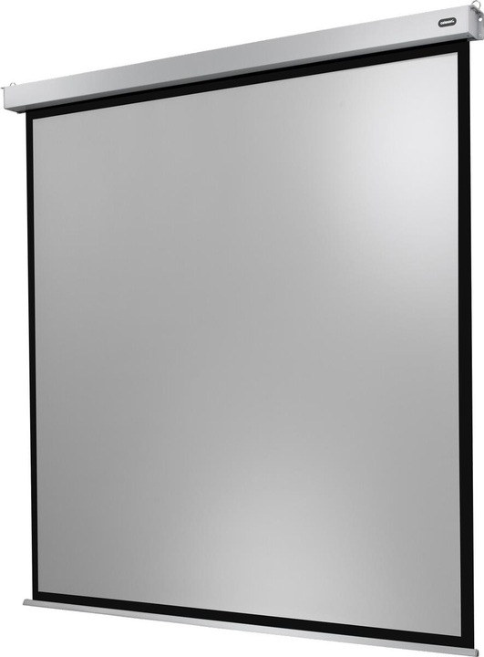 Produktbild Celexon Motor Professional Plus (100", 1:1)