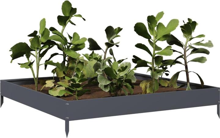 Image du produit vidaXL Hochbeet