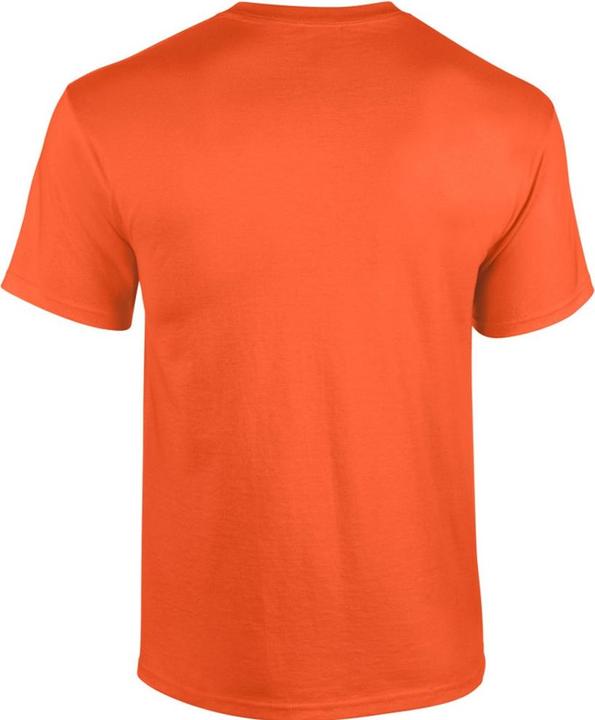 Actual product image Gildan Tshirt (S)