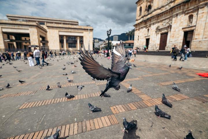 Image du produit Tamron 16-30mm F/2.8 Di III VXD G2 Nikon Z (Nikon Z, Plein format)