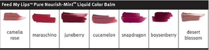 Produktbild Aveda Feed My Lips Pure Nourish Mint Liquid Color Balm Camelia R. (Lippenpflege Stick, 10 ml)