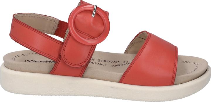 Actual product image Westland 25408-409 (42)