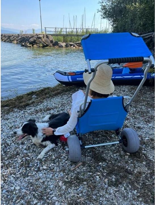 Actual product image 9WS Chariot Sige de plage