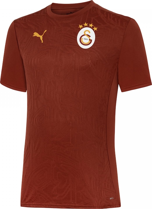 Actual product image Puma GSK Training Jersey (S)