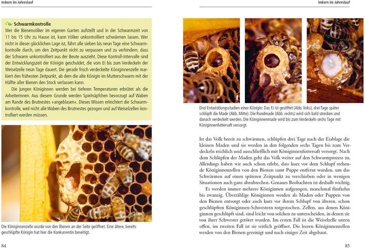 Produktbild Imkern mit der Einraumbeute (Deutsch, Norbert Poeplau, Dr. Johannes Wirz, Johannes Wirz, 2020)