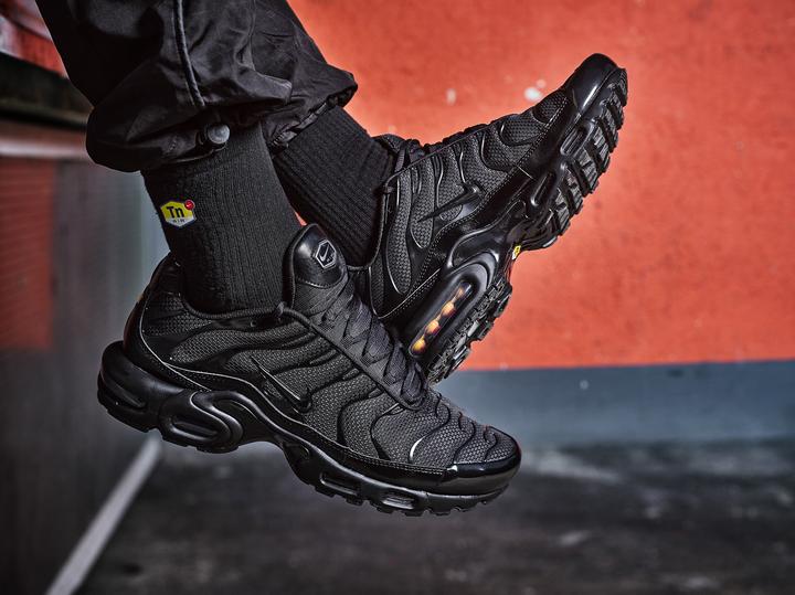 Image du produit Nike Air Max Plus (47)